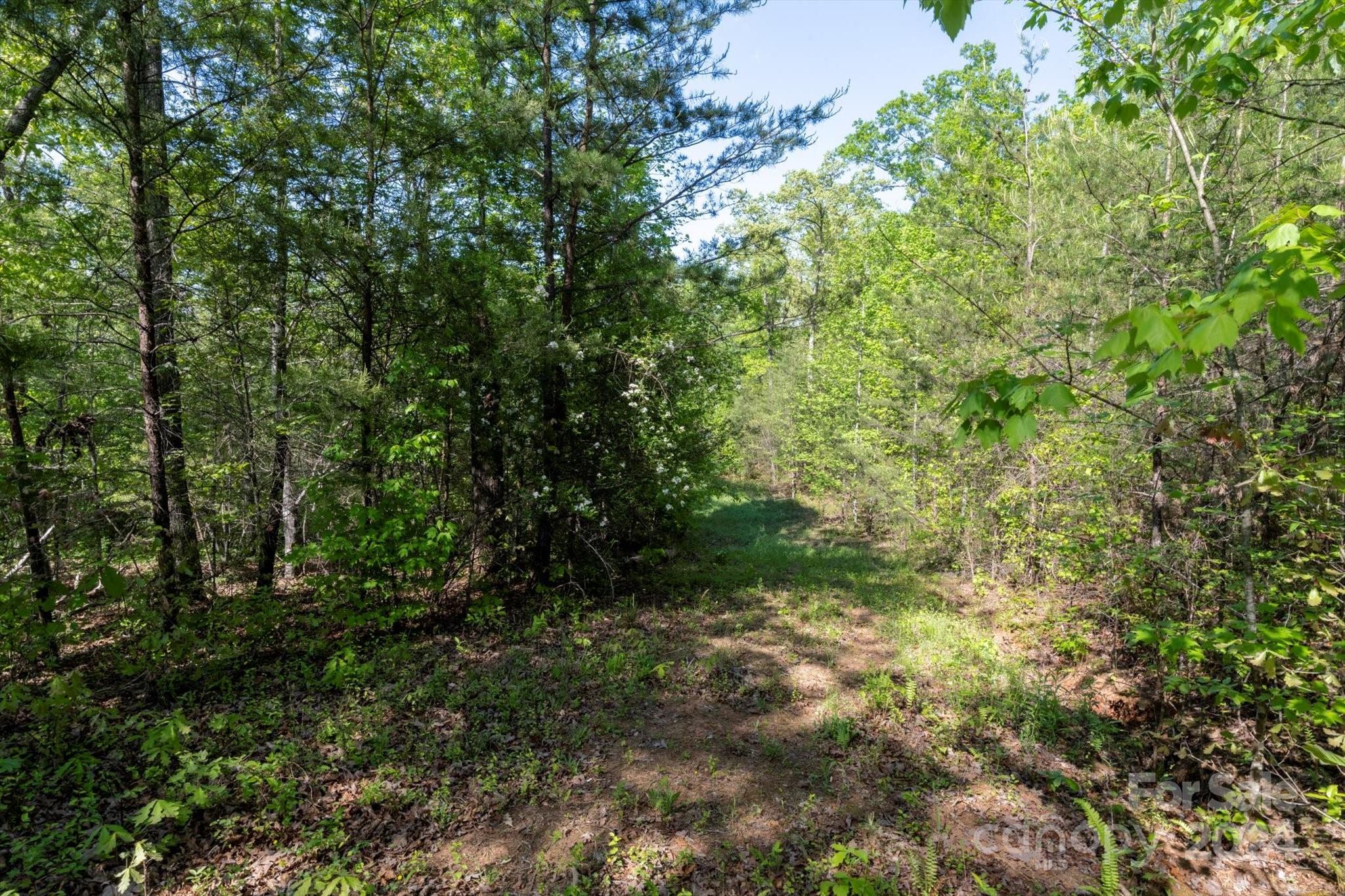 99999 Shady Bark Lane Rutherfordton NC 28139