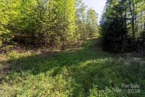 99999 Shady Bark Lane Rutherfordton NC 28139