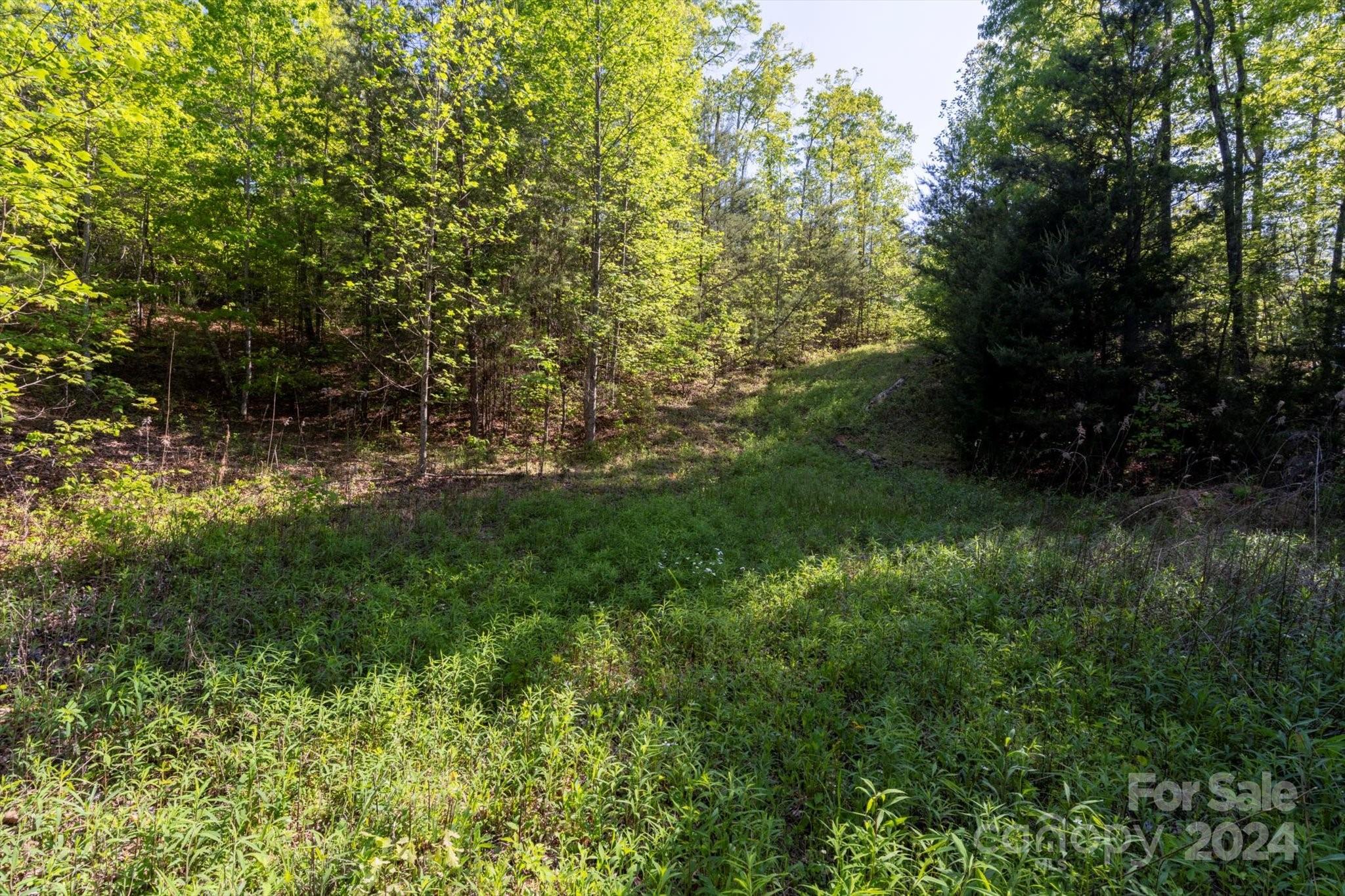 99999 Shady Bark Lane Rutherfordton NC 28139