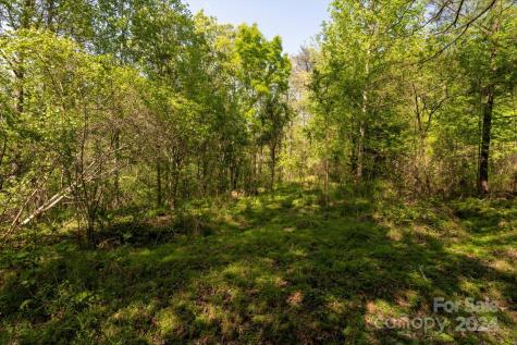99999 Shady Bark Lane Rutherfordton NC 28139