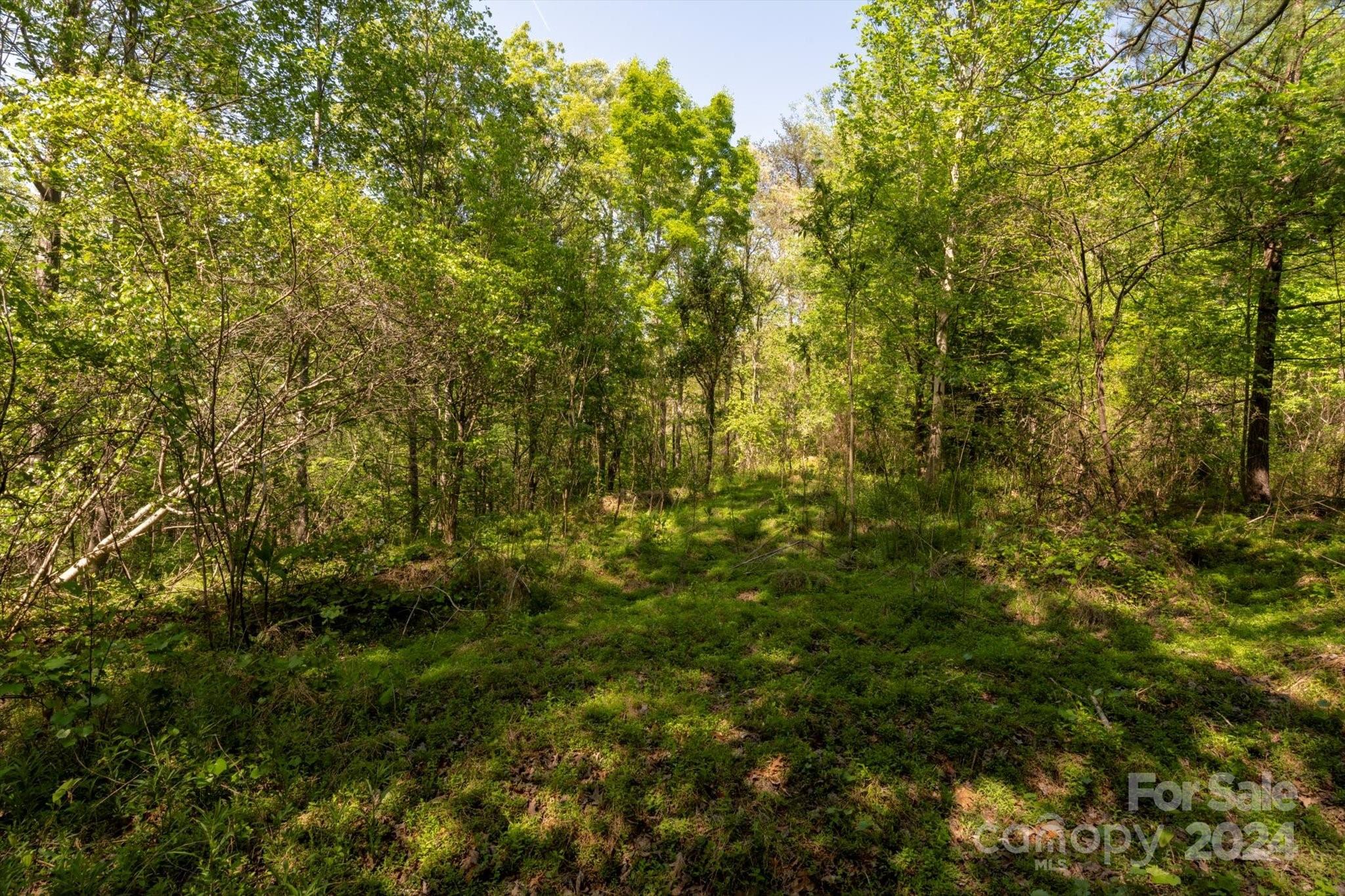 99999 Shady Bark Lane Rutherfordton NC 28139