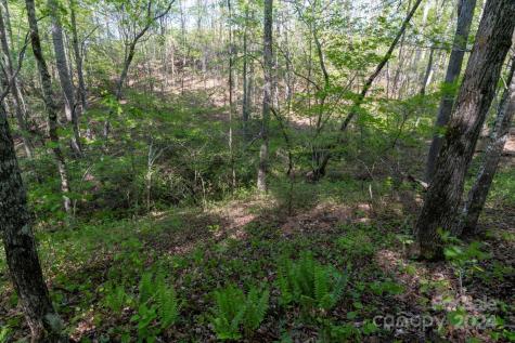 99999 Shady Bark Lane Rutherfordton NC 28139