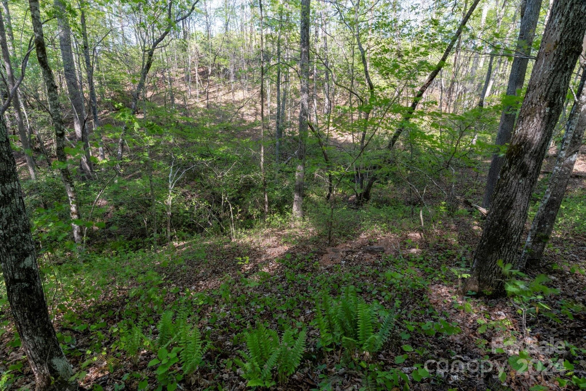 99999 Shady Bark Lane Rutherfordton NC 28139