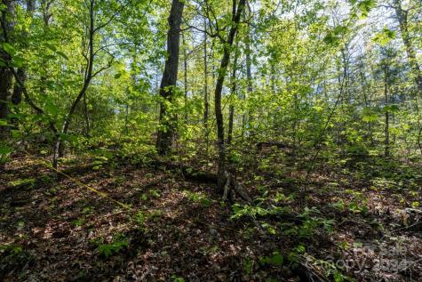 99999 Shady Bark Lane Rutherfordton NC 28139