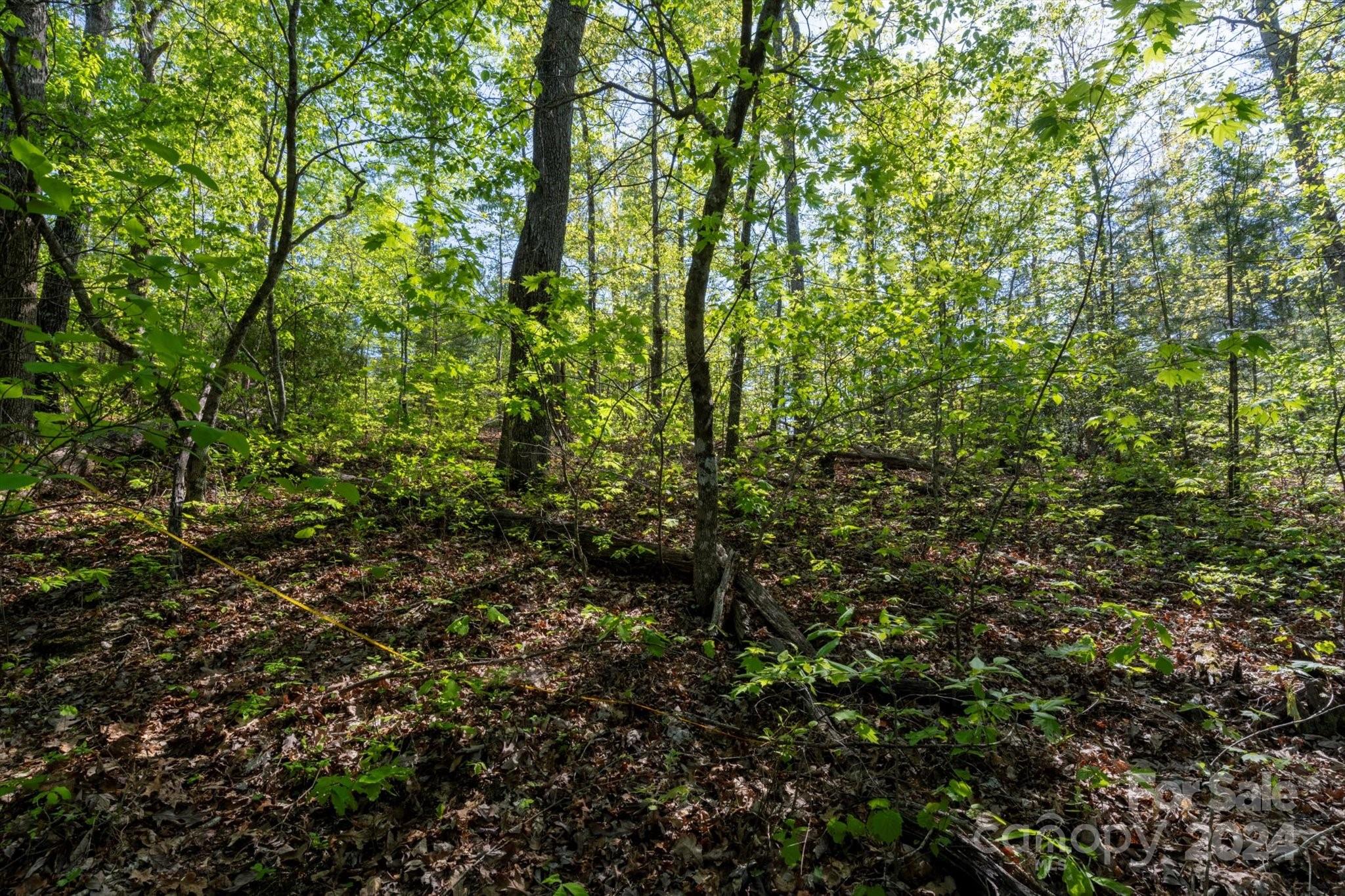99999 Shady Bark Lane Rutherfordton NC 28139