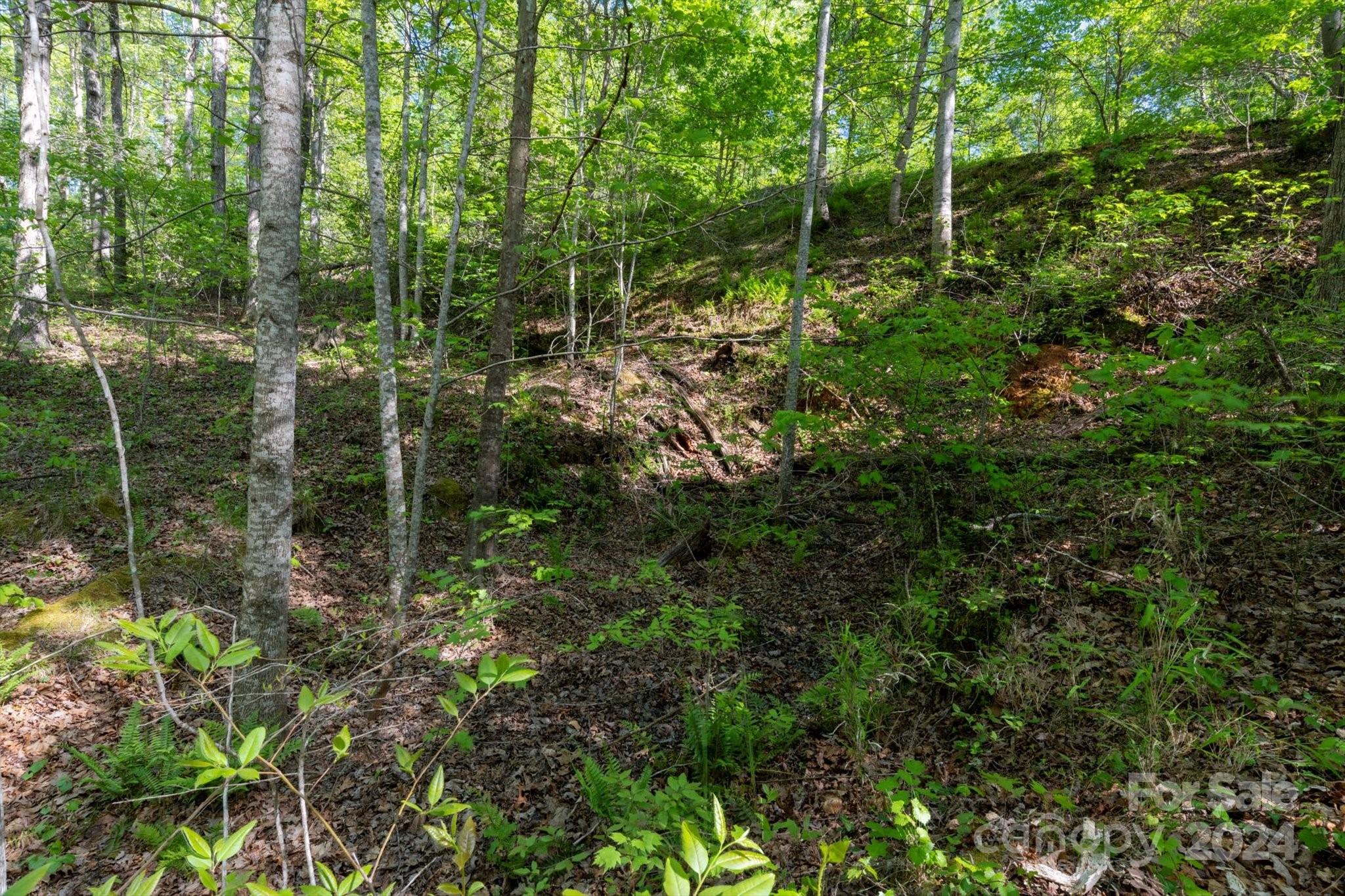 99999 Shady Bark Lane Rutherfordton NC 28139