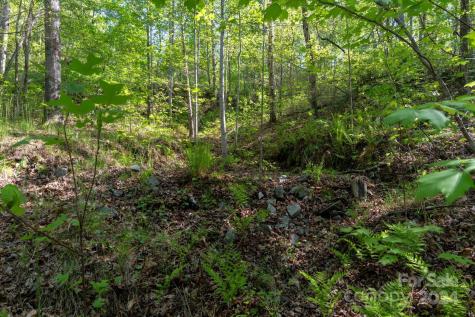 99999 Shady Bark Lane Rutherfordton NC 28139