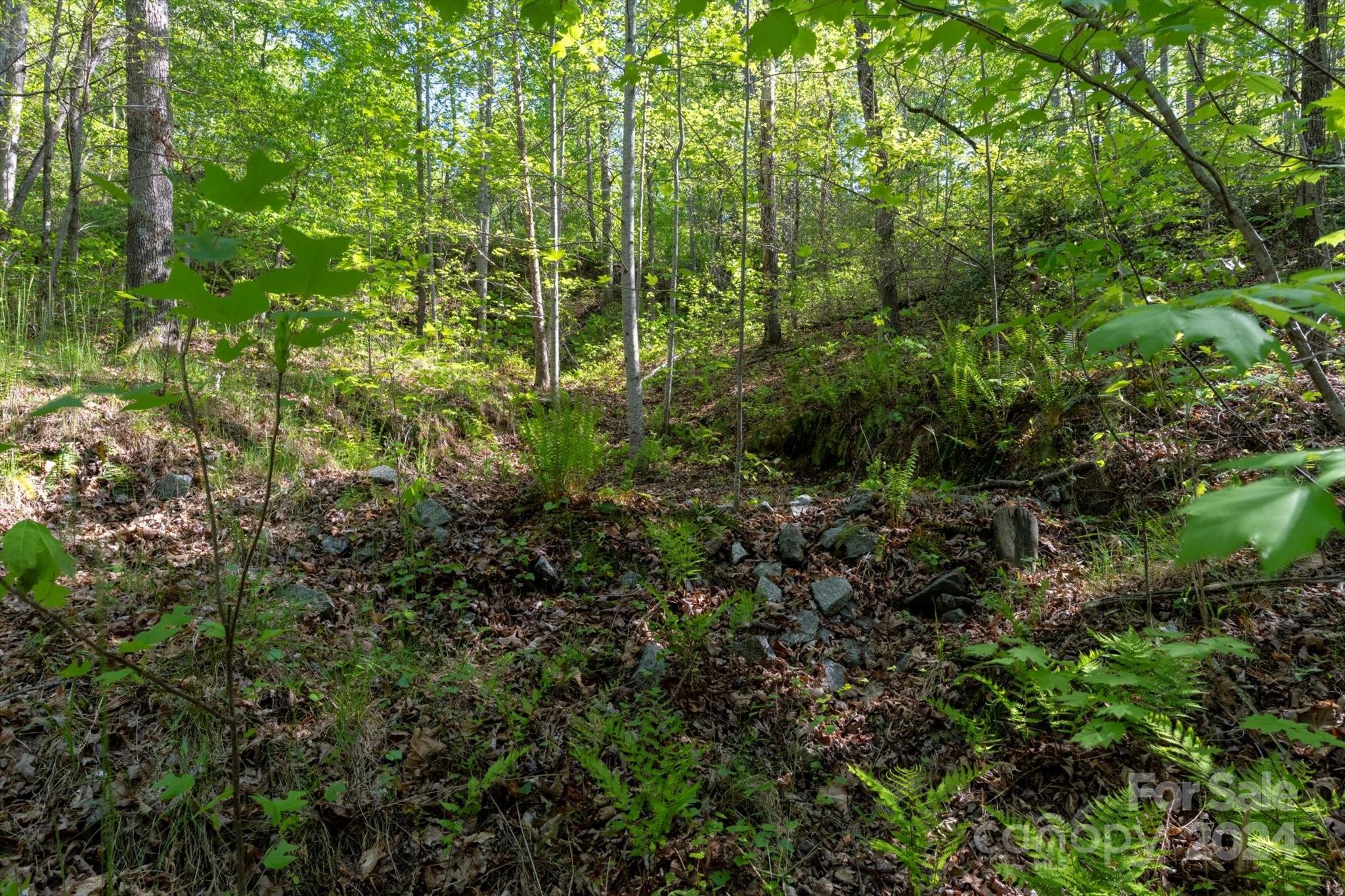 99999 Shady Bark Lane Rutherfordton NC 28139