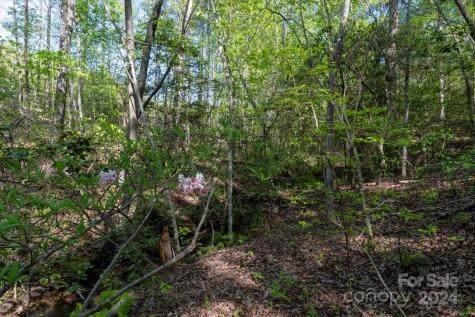 99999 Shady Bark Lane Rutherfordton NC 28139