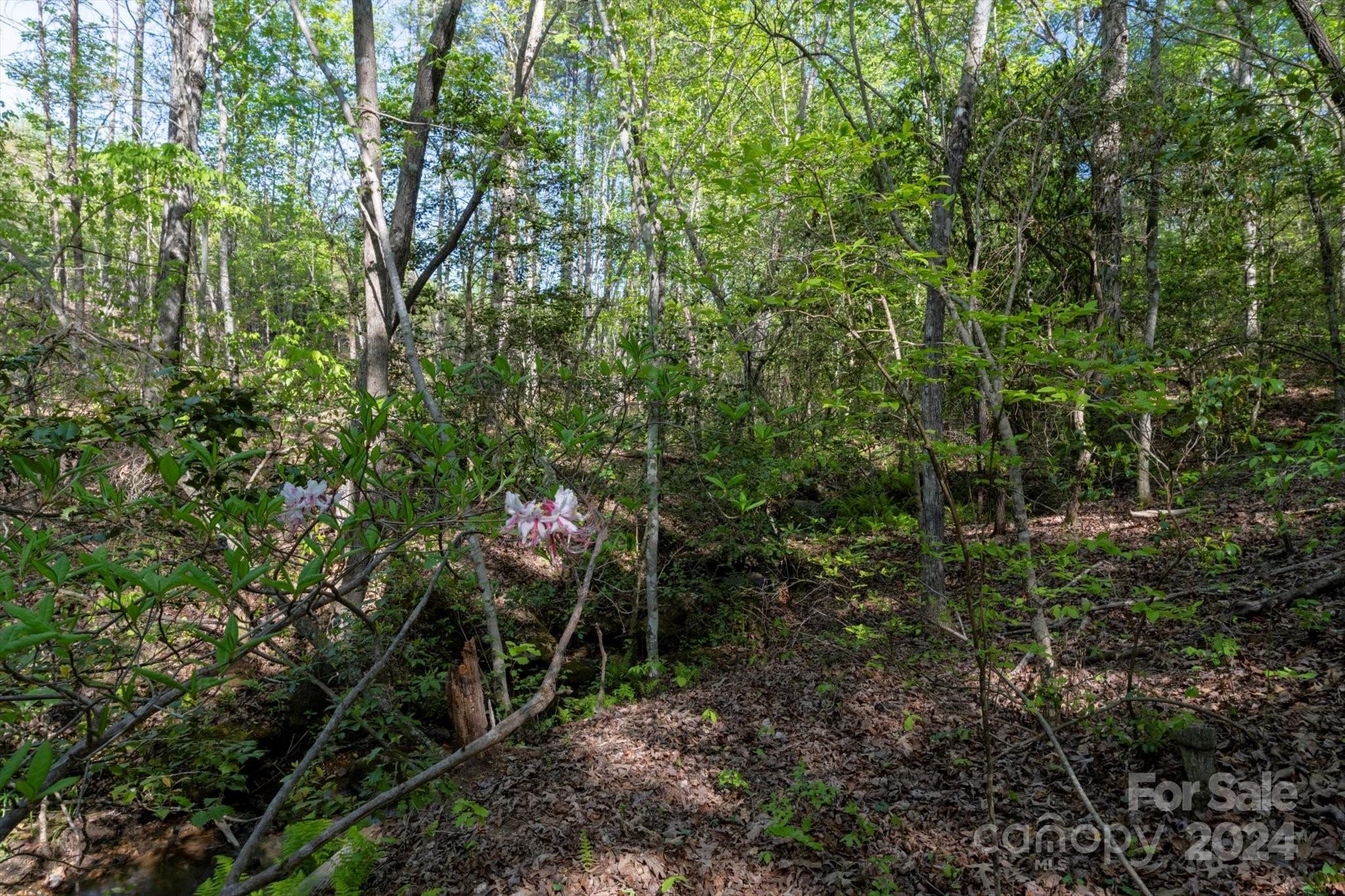 99999 Shady Bark Lane Rutherfordton NC 28139