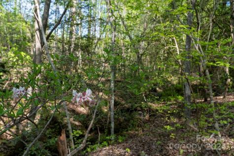 99999 Shady Bark Lane Rutherfordton NC 28139