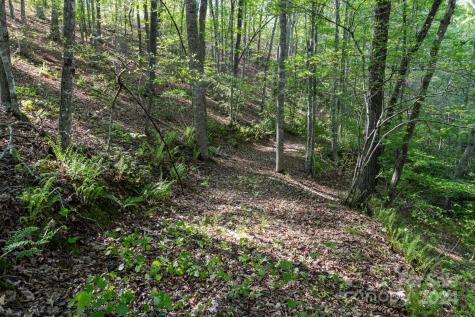 99999 Shady Bark Lane Rutherfordton NC 28139