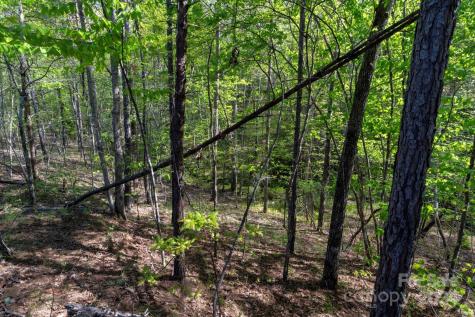 99999 Shady Bark Lane Rutherfordton NC 28139