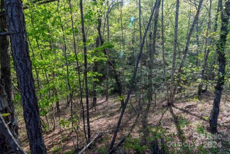 99999 Shady Bark Lane Rutherfordton NC 28139