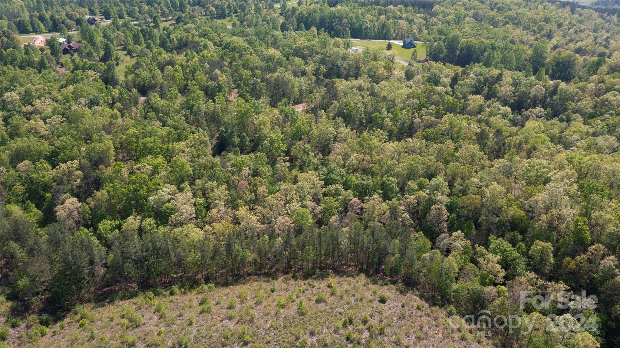 99999 Shady Bark Lane Rutherfordton NC 28139