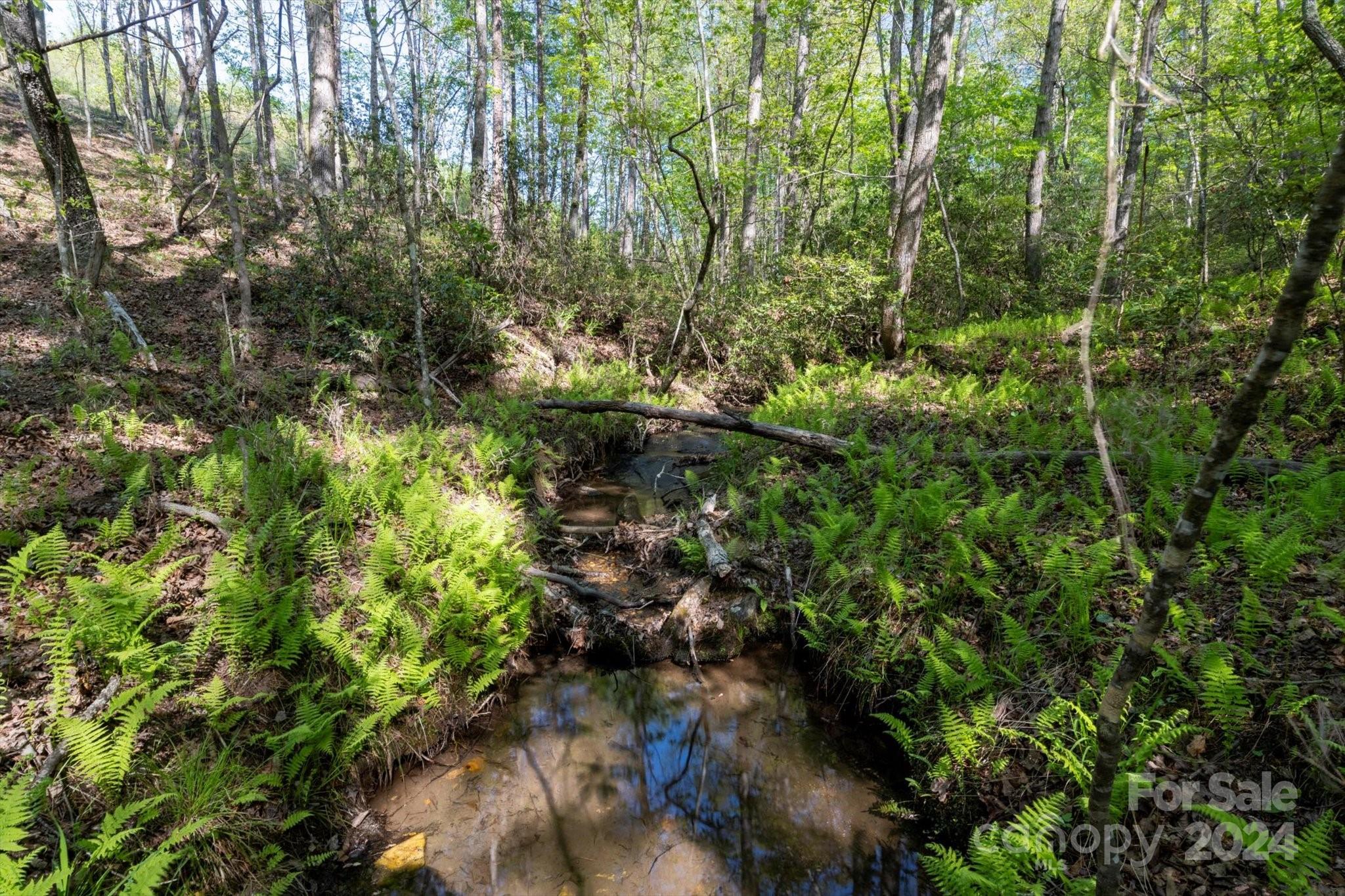 99999 Shady Bark Lane Rutherfordton NC 28139