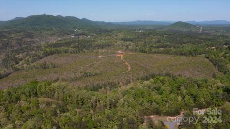 99999 Shady Bark Lane Rutherfordton NC 28139