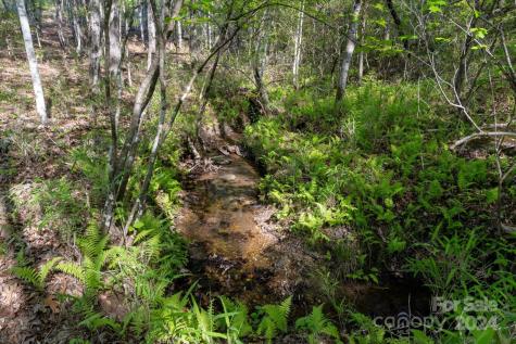 99999 Shady Bark Lane Rutherfordton NC 28139