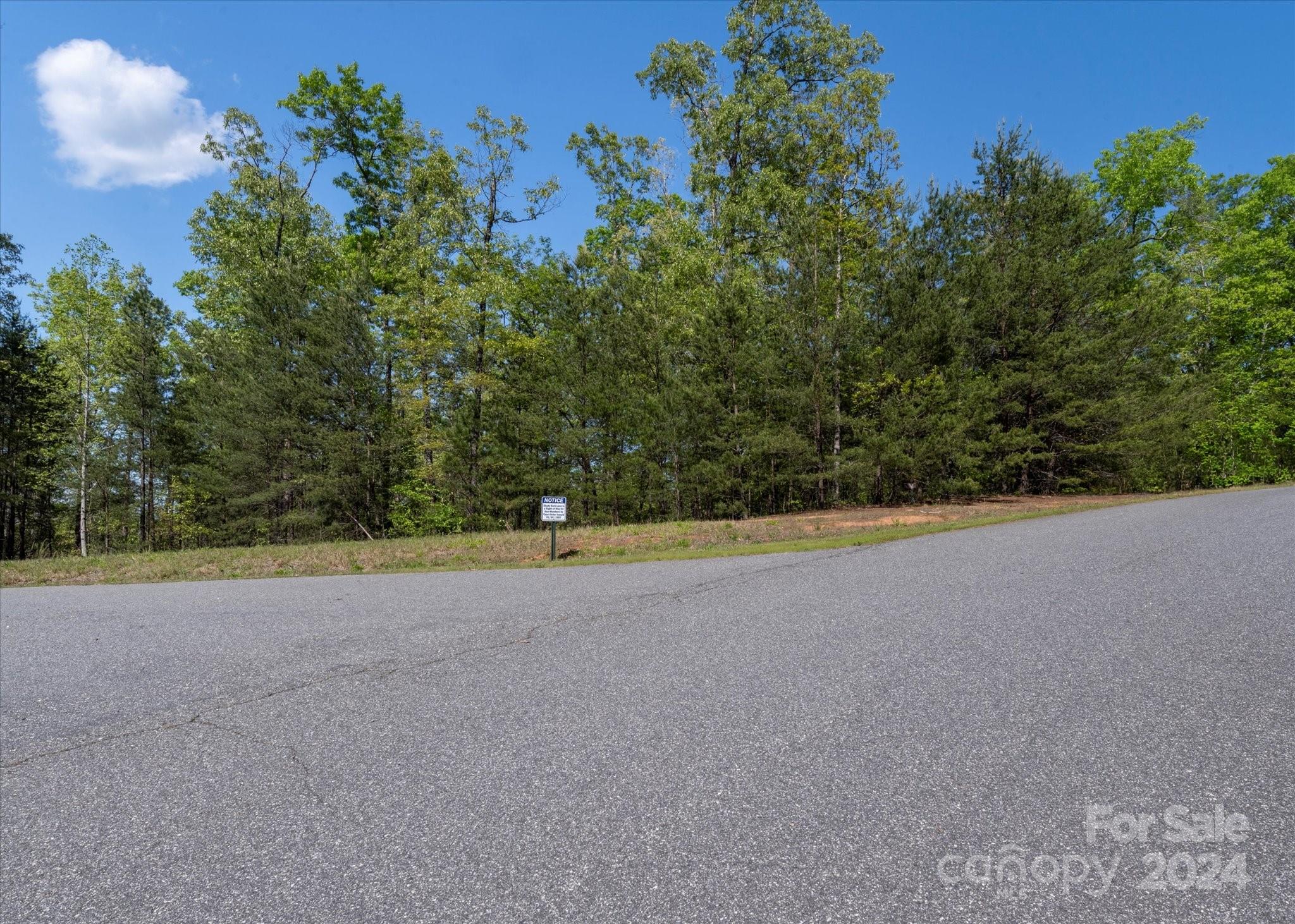 99999 Shady Bark Lane Rutherfordton NC 28139