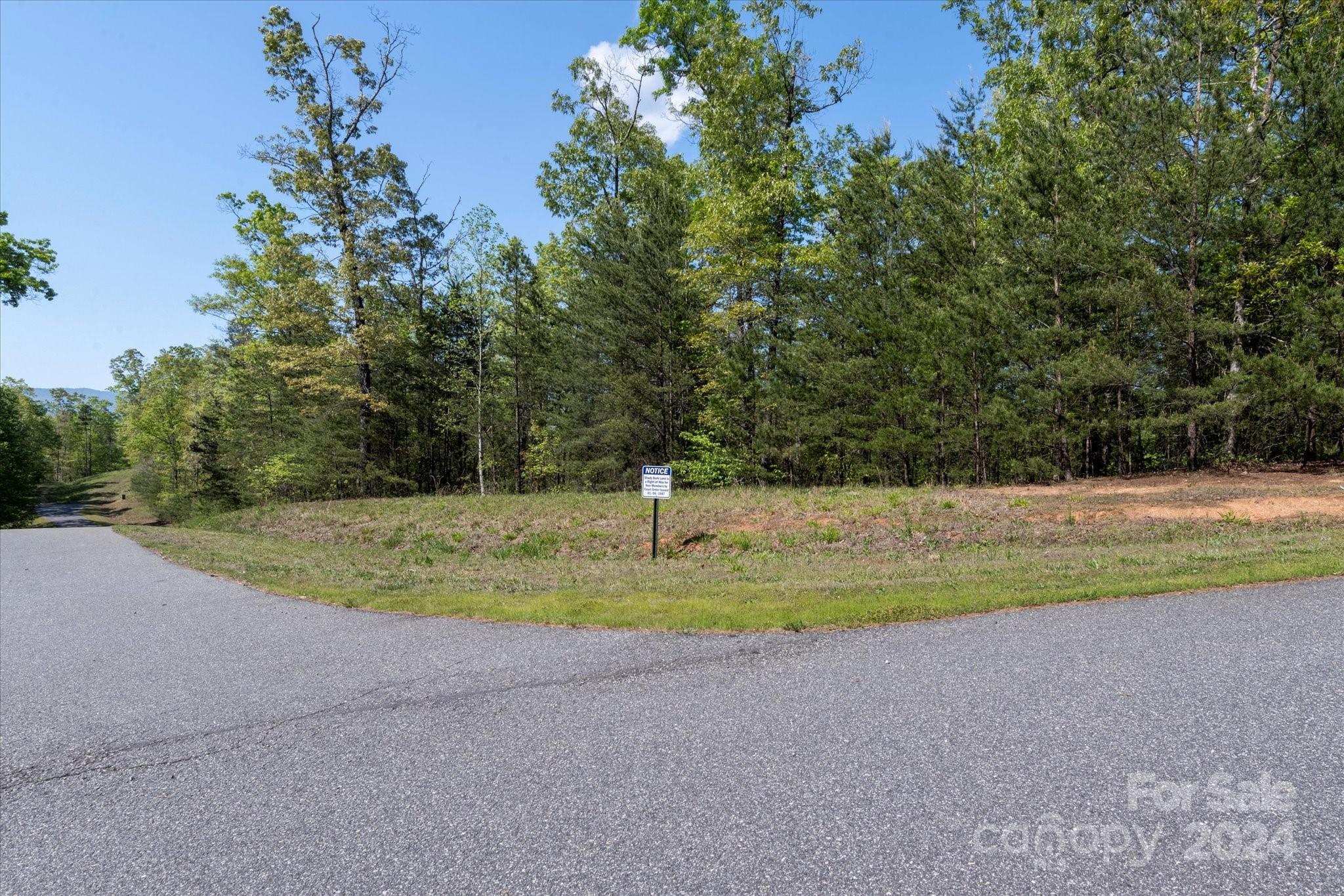 99999 Shady Bark Lane Rutherfordton NC 28139
