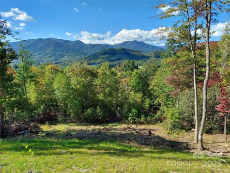 Lot 19 Summit View Parkway Spruce Pine NC 28777