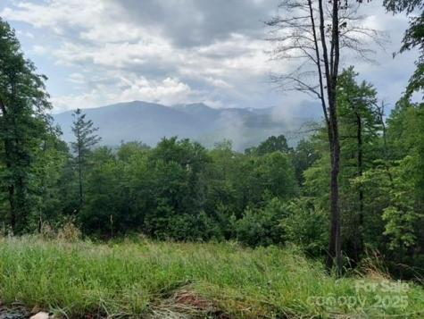 Lot 19 Summit View Parkway Spruce Pine NC 28777