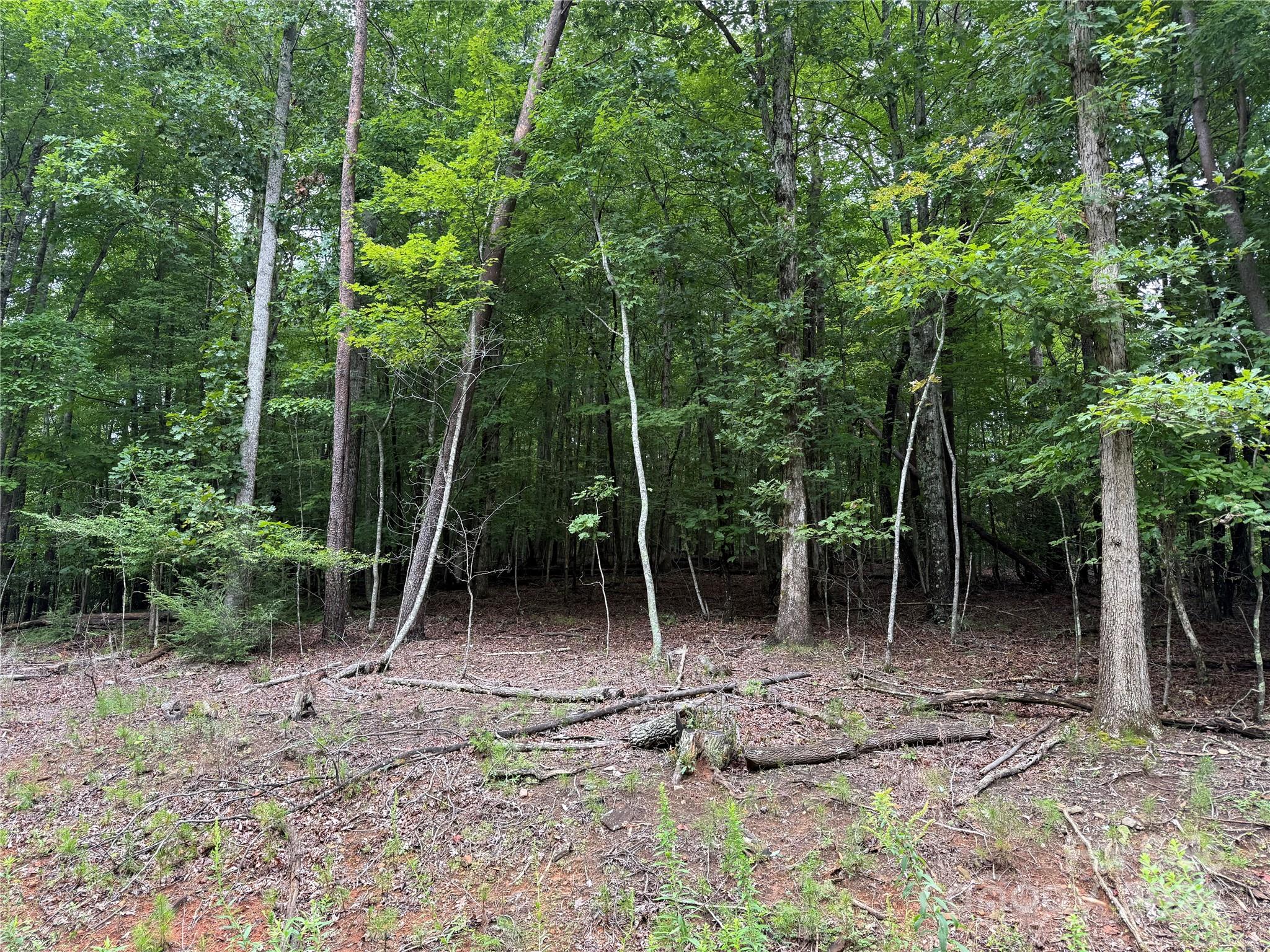 00 Woodchuck Lane Marion NC 28752