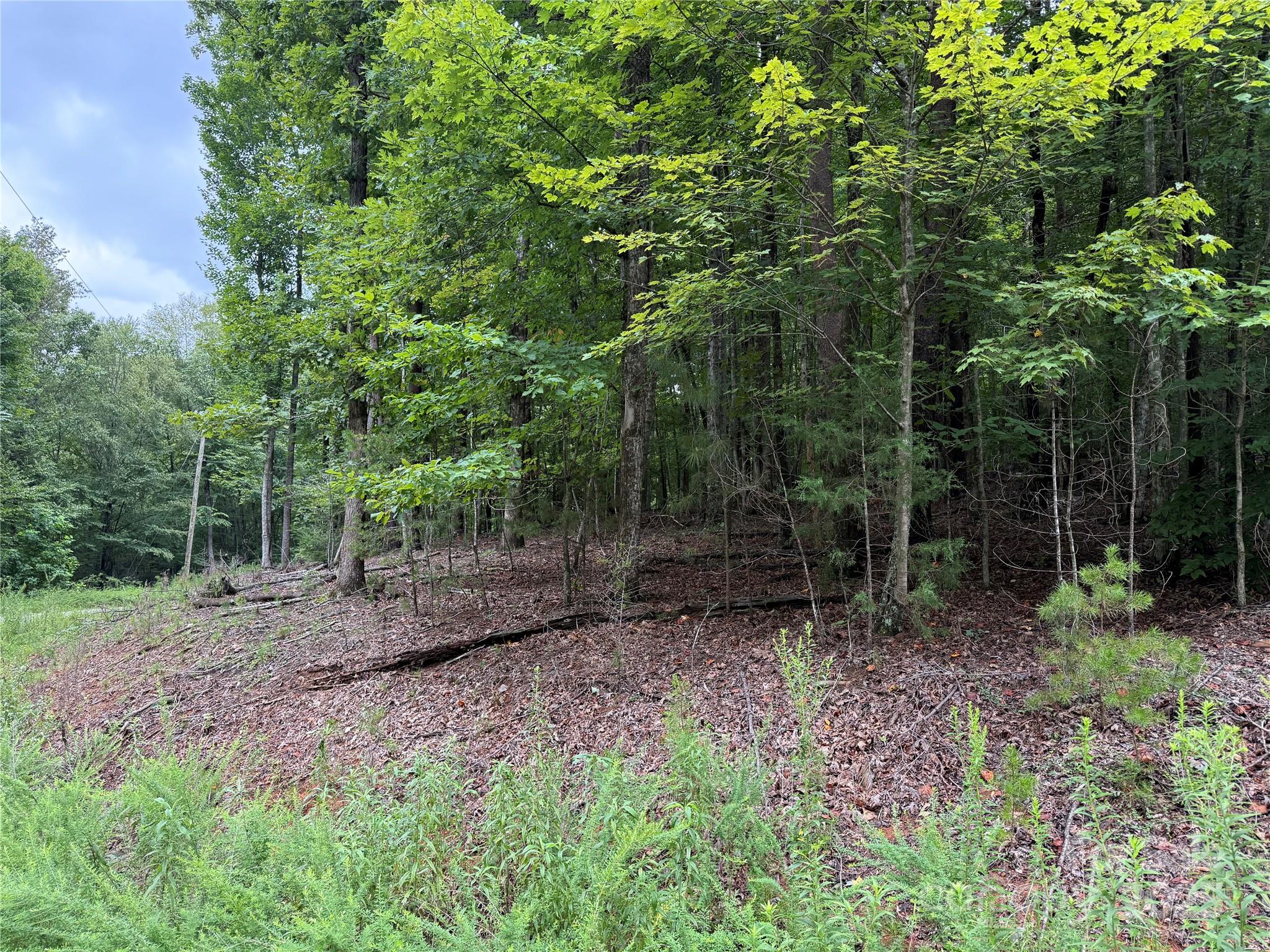 00 Woodchuck Lane Marion NC 28752