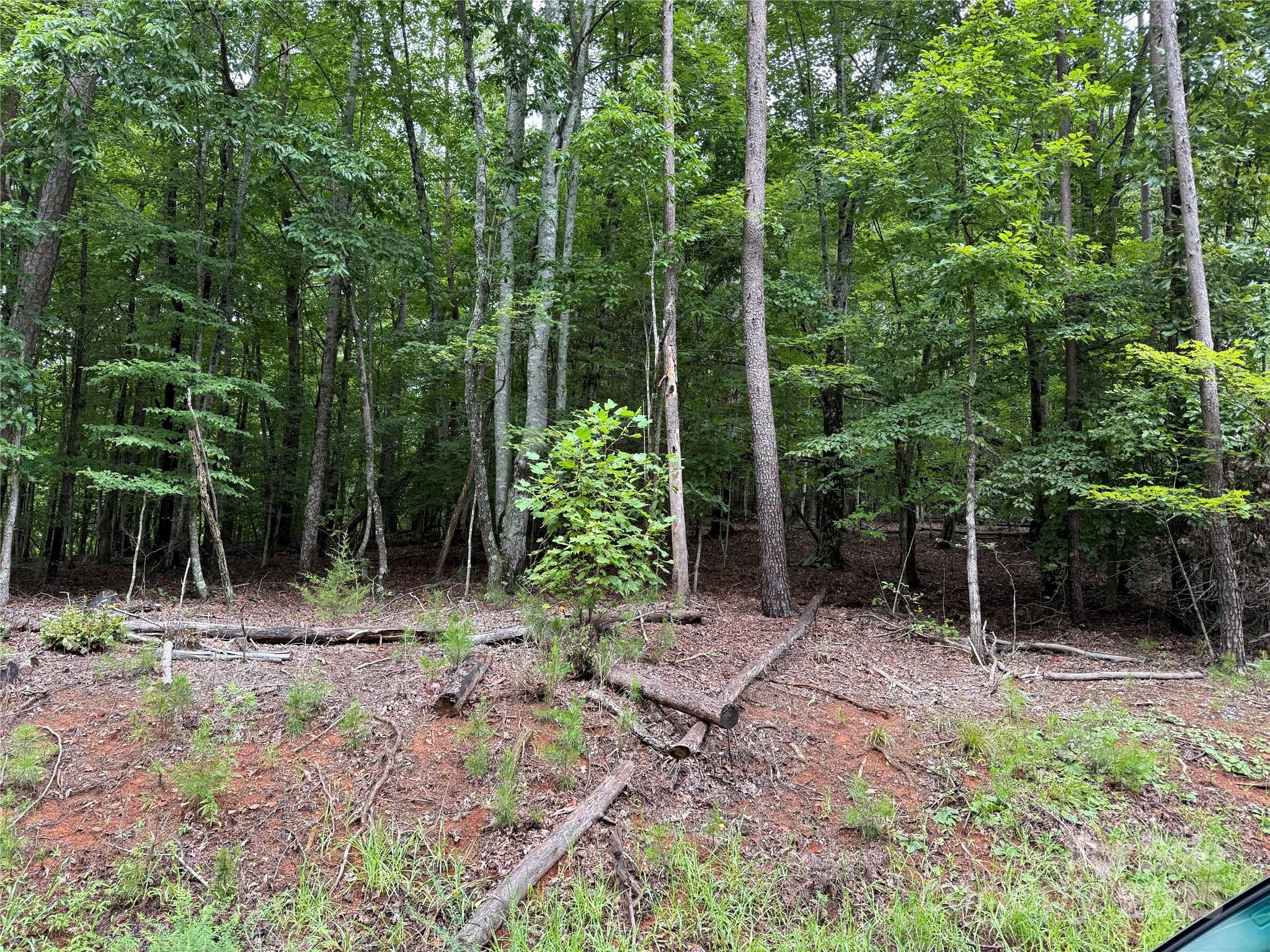 00 Woodchuck Lane Marion NC 28752