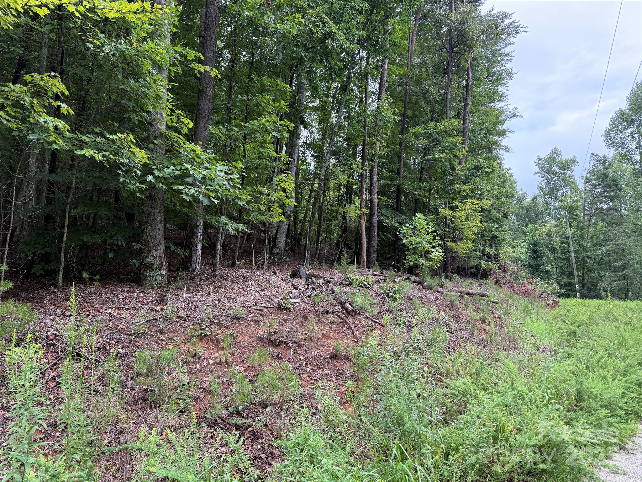 00 Woodchuck Lane Marion NC 28752