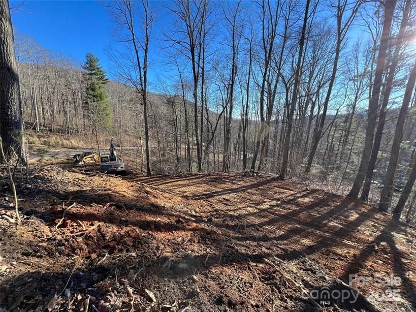 999999 N Pointe Drive Zirconia NC 28790