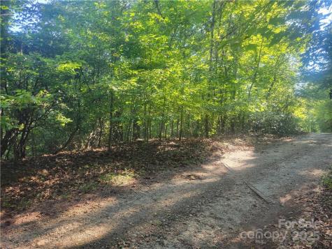Lot 5 Appaloosa Lane Tryon NC 28782