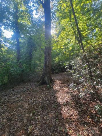 Lot 5 Appaloosa Lane Tryon NC 28782