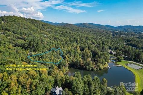 L12R Trailside Court Brevard NC 28712