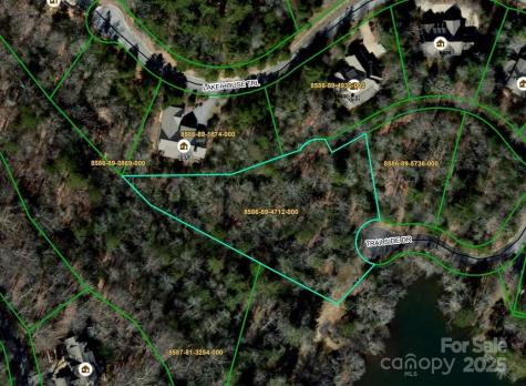 L12R Trailside Court Brevard NC 28712