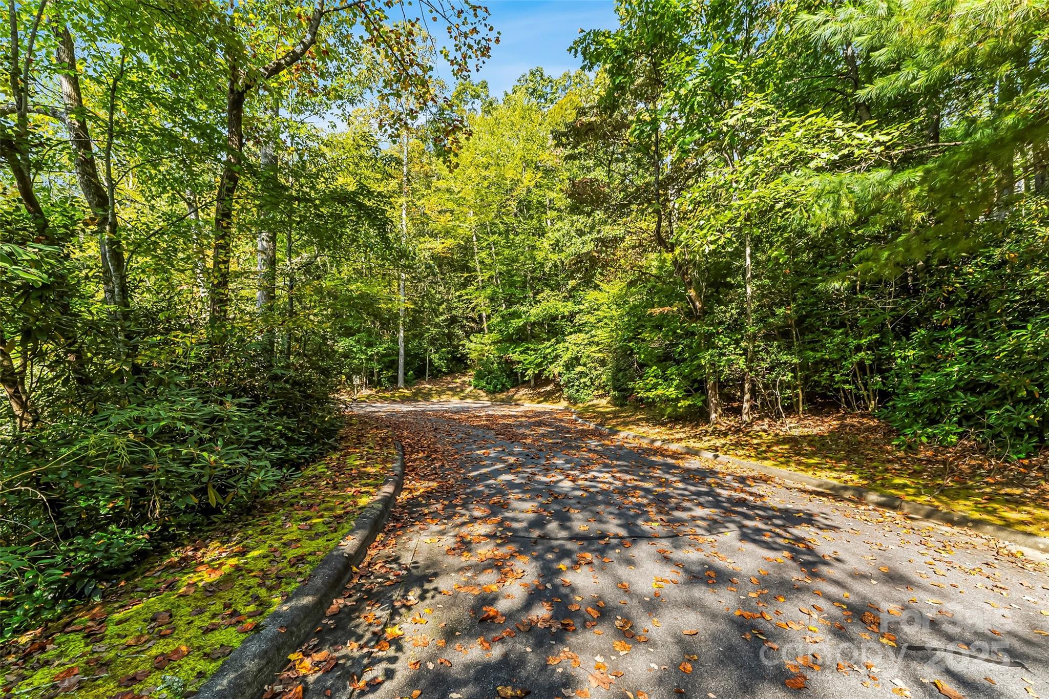 L12R Trailside Court Brevard NC 28712