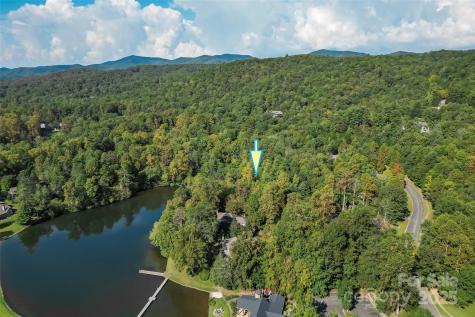 L12R Trailside Court Brevard NC 28712