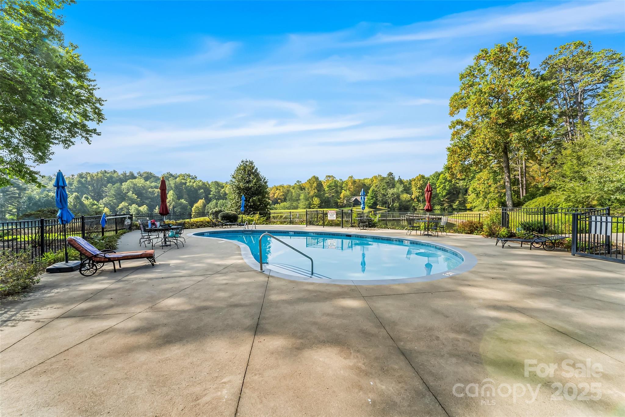 L12R Trailside Court Brevard NC 28712