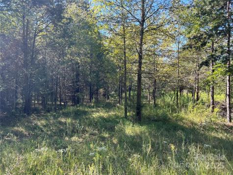 200 Bramblewood Lane Mocksville NC 27028
