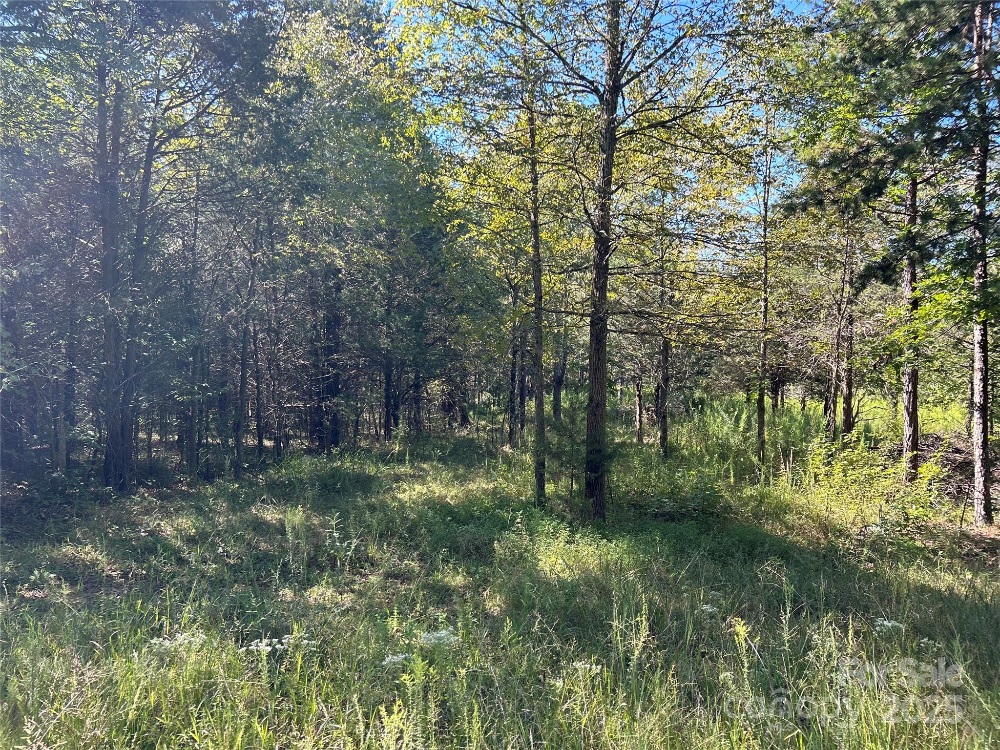 200 Bramblewood Lane Mocksville NC 27028