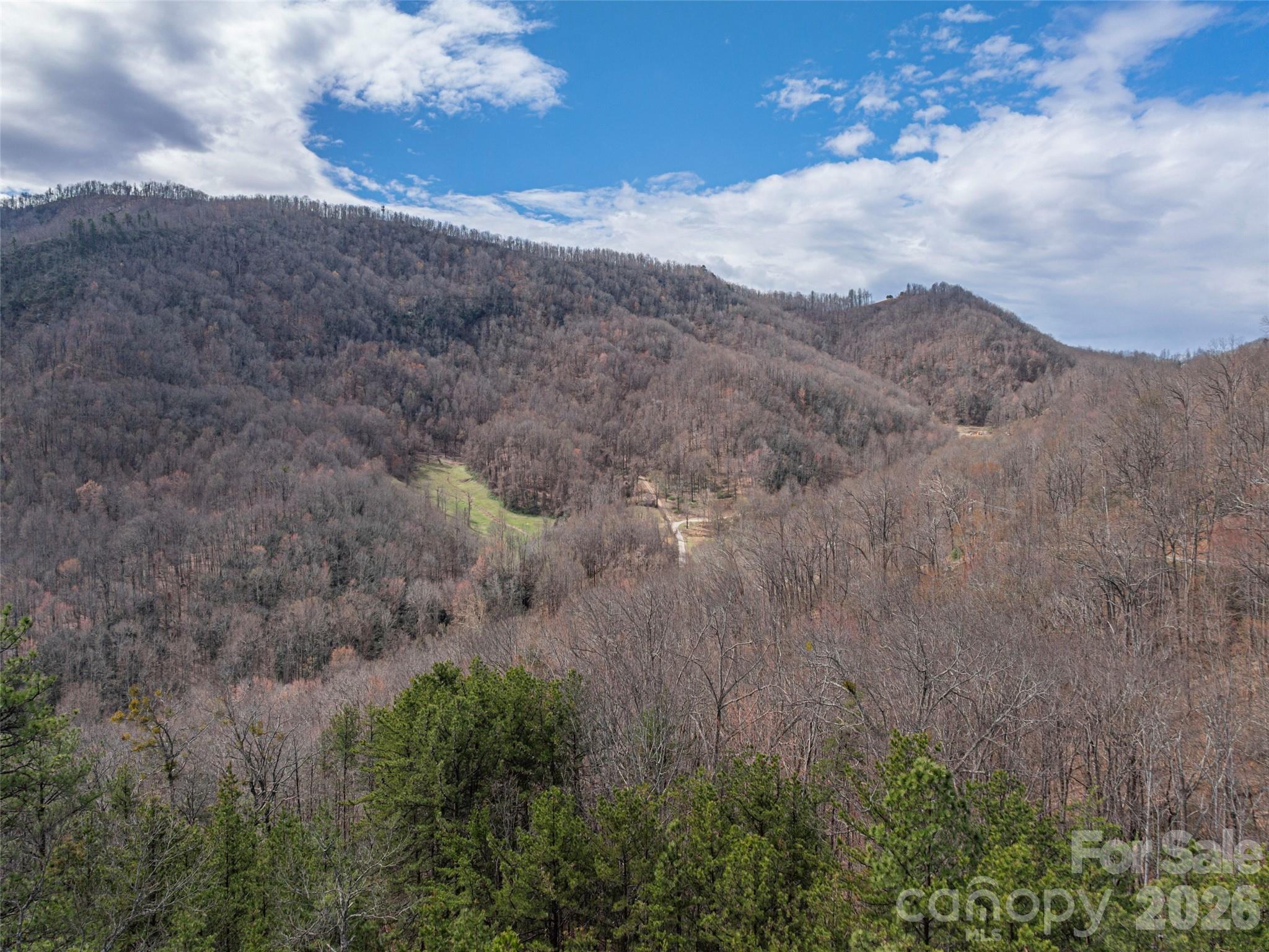 102 Trillium Lane Black Mountain NC 28711