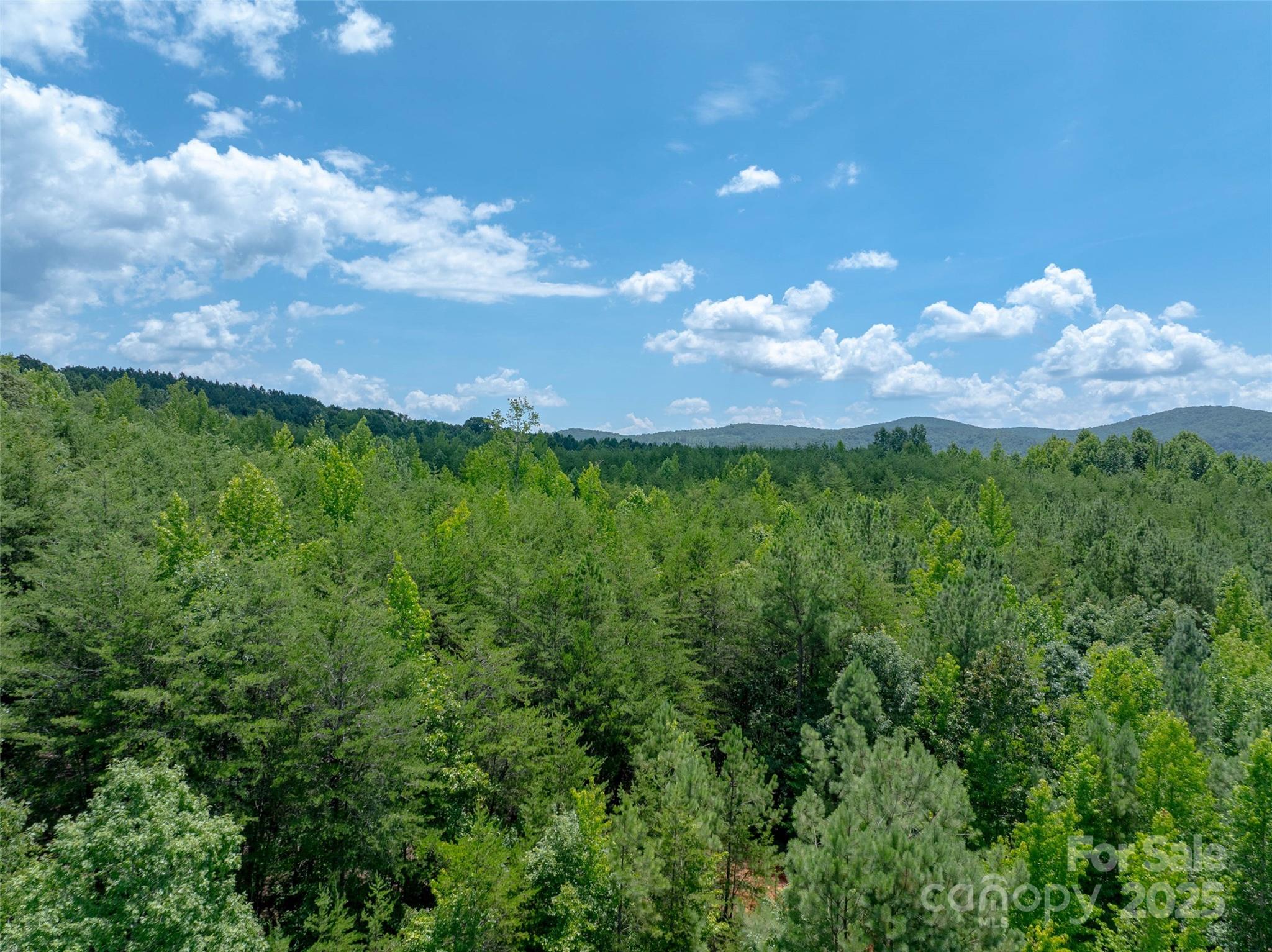 0000 Bostic Sunshine Highway Bostic NC 28018