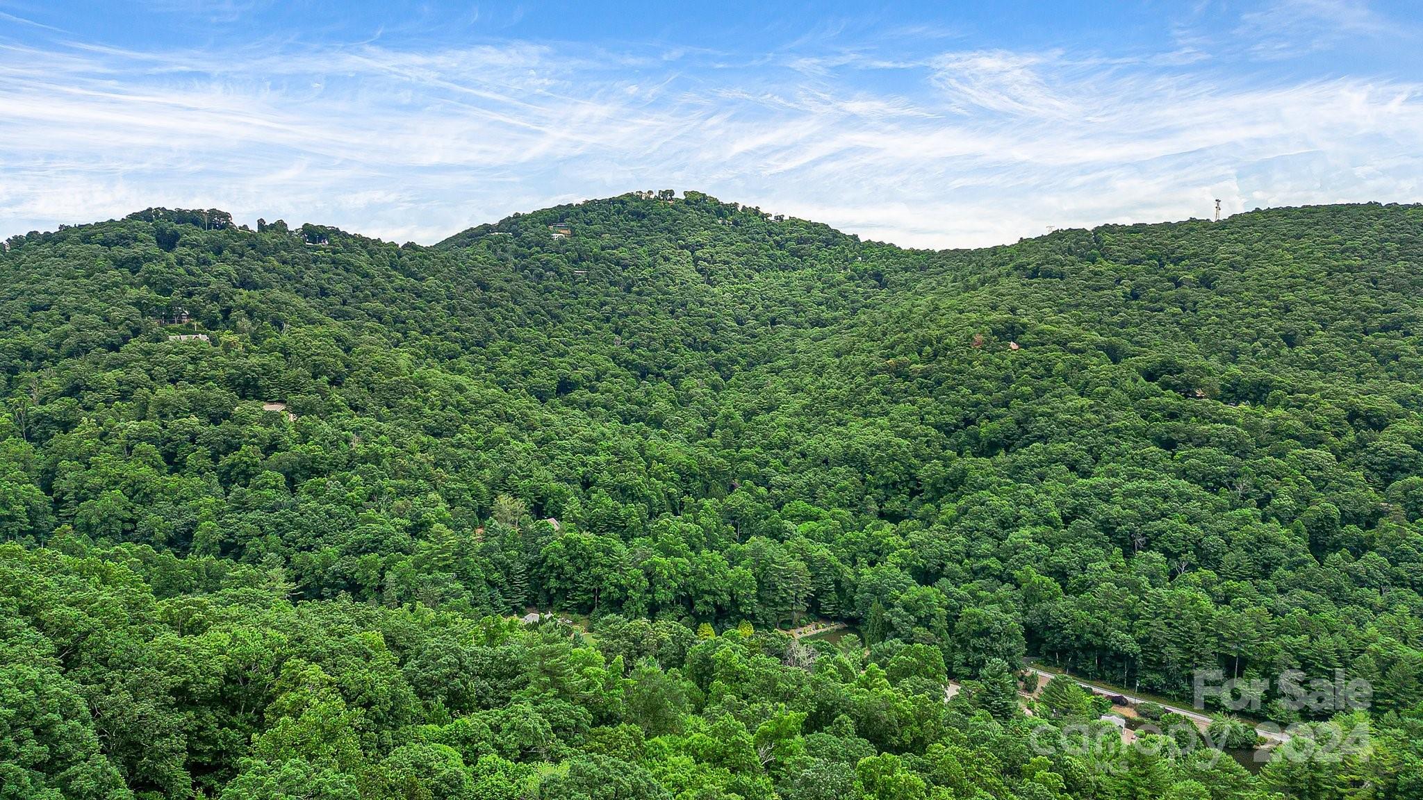 99999 Vance Gap Road Asheville NC 28805