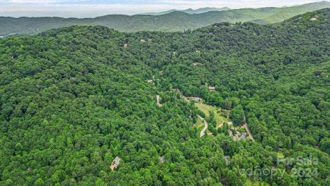 99999 Vance Gap Road Asheville NC 28805