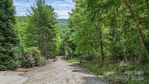 99999 Vance Gap Road Asheville NC 28805
