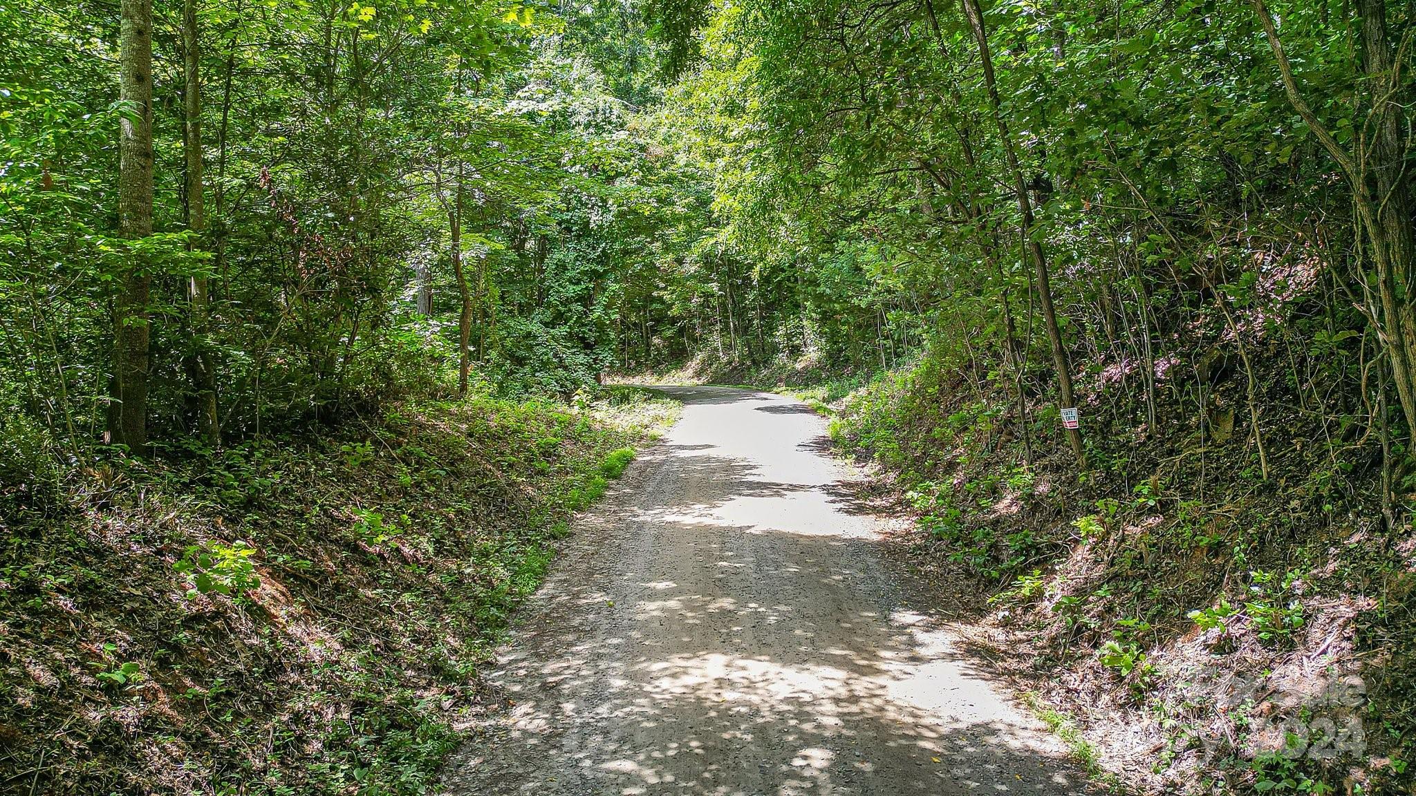 99999 Vance Gap Road Asheville NC 28805
