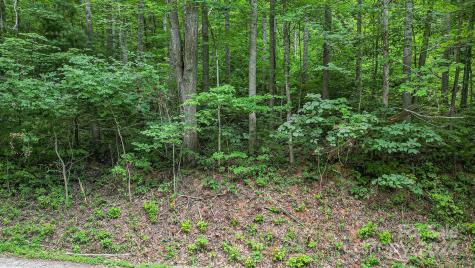 99999 Vance Gap Road Asheville NC 28805