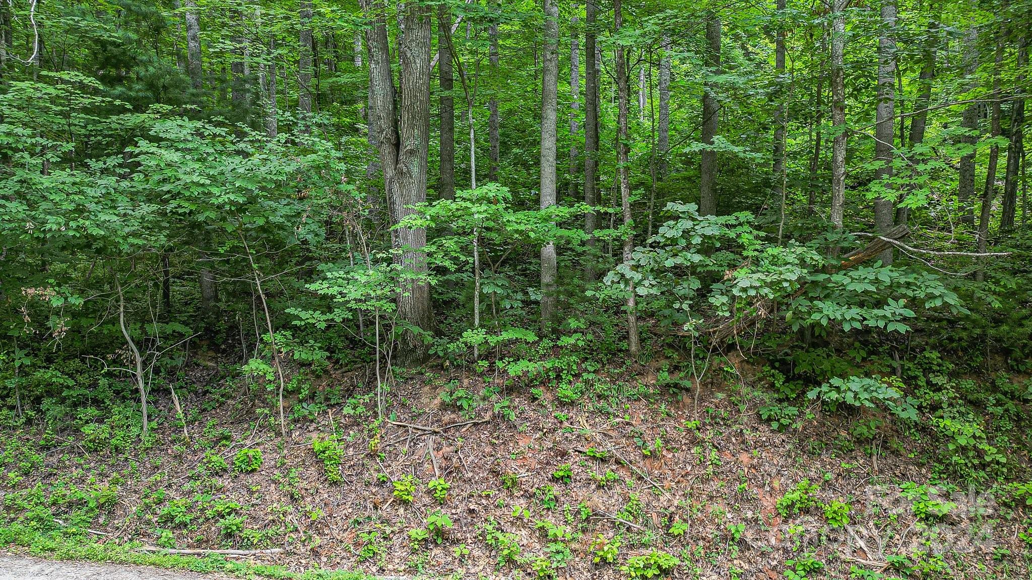 99999 Vance Gap Road Asheville NC 28805