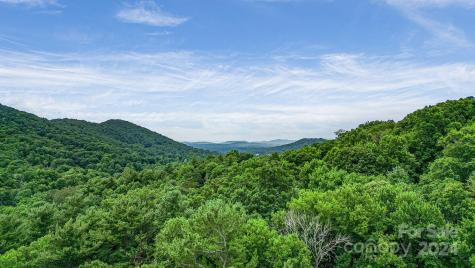 99999 Vance Gap Road Asheville NC 28805