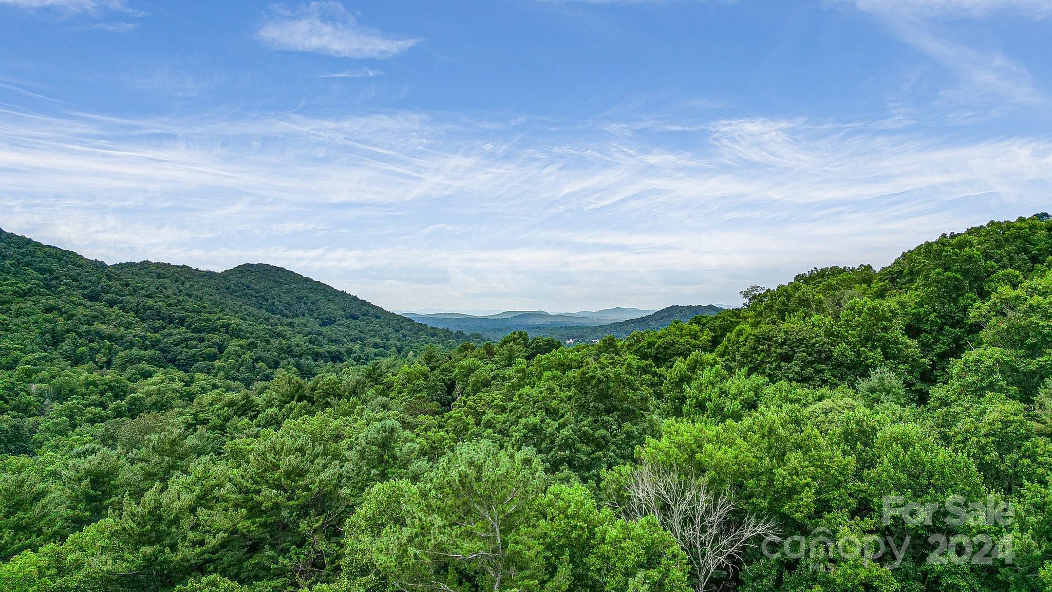 99999 Vance Gap Road Asheville NC 28805